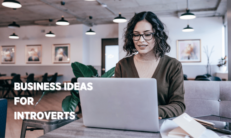 Business Ideas For Introverts