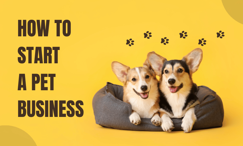 How to start a pet Business